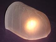 Pinkish Vintage Slip Shade for Antique Lighting Fixture